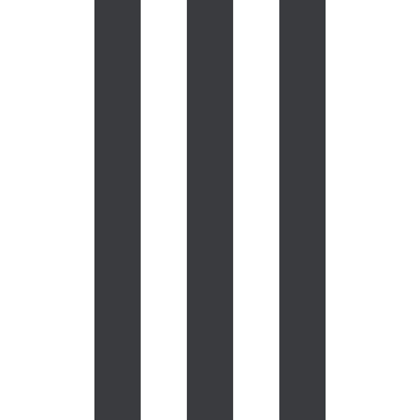 5354 Popüler Siyah Beyaz Çizgili Lüx Gramajlı Duvar Kağıdı 5,30 M² 