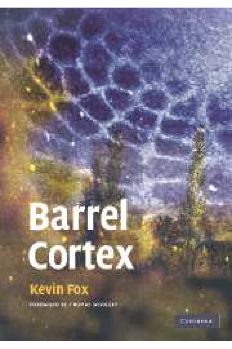 barrel cortex (kevin fox)