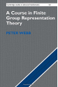 A Course in Finite Group Representation Theory (
